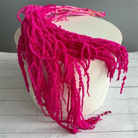 Dr Bl Ama Caud Pink